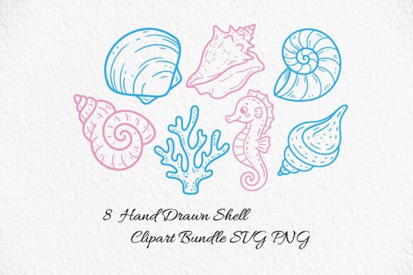 Hand Drawn Shell Clipart SVG PNG: Elevating Coastal Design Projects